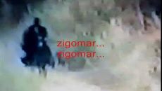 Зигомар / Zigomar (1984)