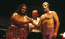 Человек в золотой маске / L'homme au masque d'or (1991)