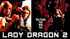 Леди дракон 2 / Lady Dragon 2 (1993)