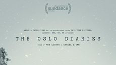 Дневники Осло / The Oslo Diaries (2017)