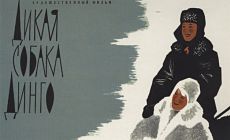 Дикая собака динго (1962)