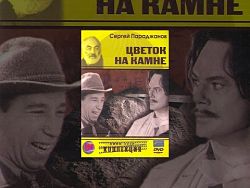 Цветок на камне (1962)