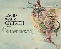 Цветок любви / The Love Flower (1920)