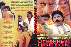 Огненный цветок / Phool Aur Aag (1999)