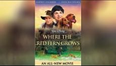 Цветок красного папоротника / Where the Red Fern Grows (2003)