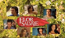 Дикий цветок / Flor Salvaje (2011)