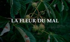 Цветок зла / La fleur du mal (2003)