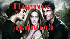 Цветок дьявола (2010)