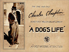 Собачья жизнь / A Dog's Life (1918)