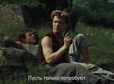 Тень папоротника / Stín kapradiny (1984)