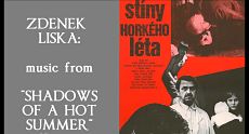 Тени знойного лета / Stíny horkého léta (1978)