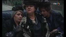 Осиное гнездо / Cuibul de viespi (1986)