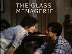 Стеклянный зверинец / The Glass Menagerie (ТВ) (1973)